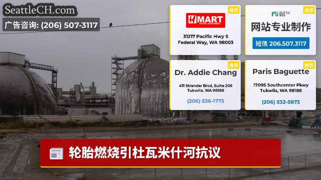 轮胎燃烧引杜瓦米什河抗议