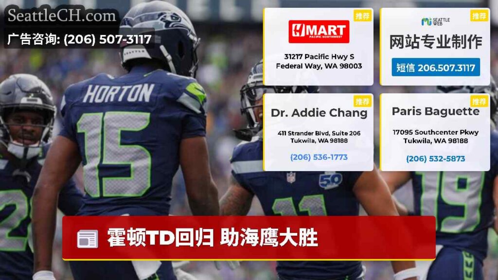 霍顿TD回归 助海鹰大胜