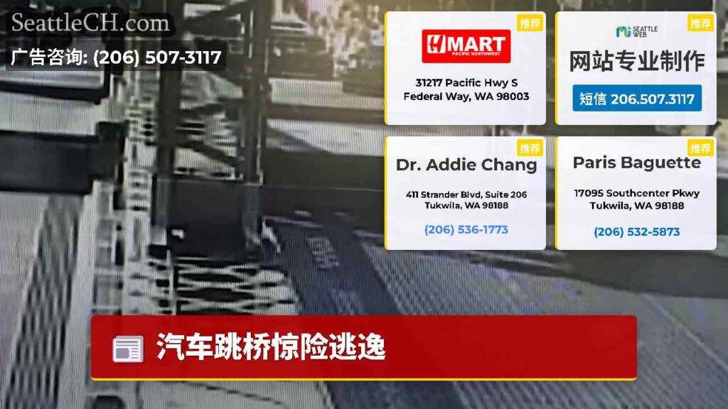 汽车跳桥惊险逃逸