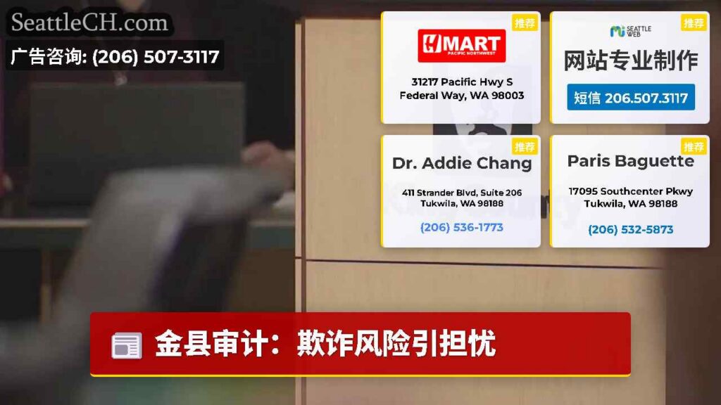 金县审计：欺诈风险引担忧