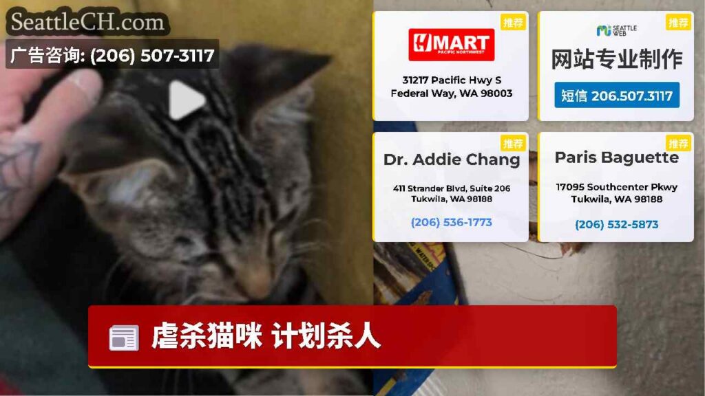虐杀猫咪 计划杀人