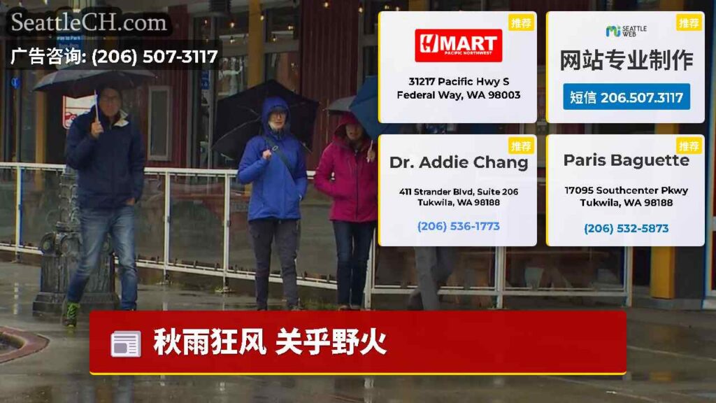 秋雨狂风 关乎野火