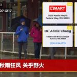 秋雨狂风 关乎野火