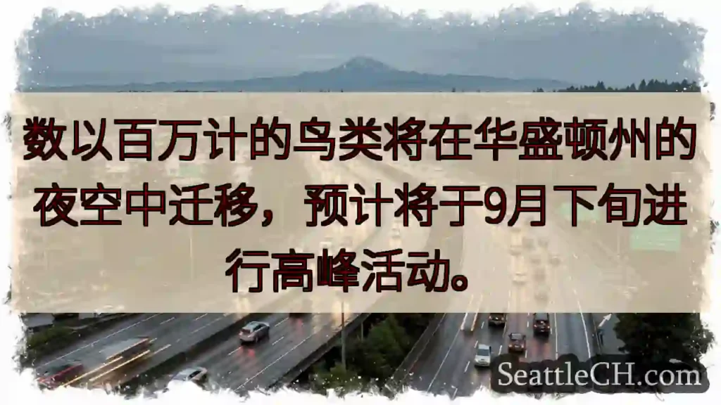 数以百万计的鸟类将在华盛顿州的夜空中迁移，预计将于9月下旬进行高峰活动。