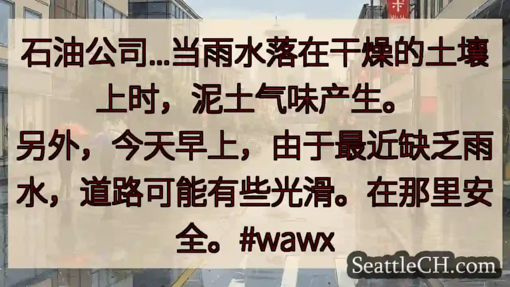石油公司...当雨水落在干燥的土壤上时，泥土气味产生。