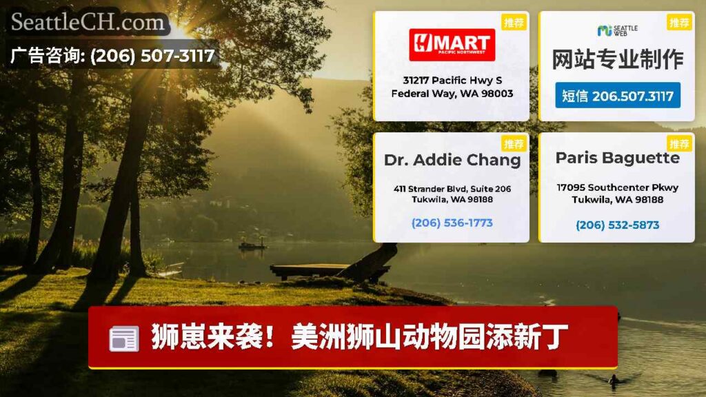 狮崽来袭！美洲狮山动物园添新丁