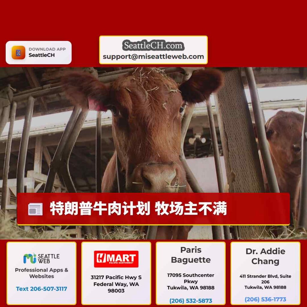 特朗普牛肉计划 牧场主不满