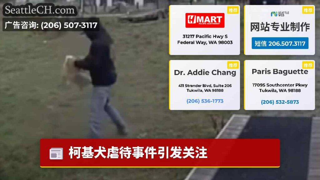 柯基犬虐待事件引发关注