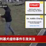 柯基犬虐待事件引发关注