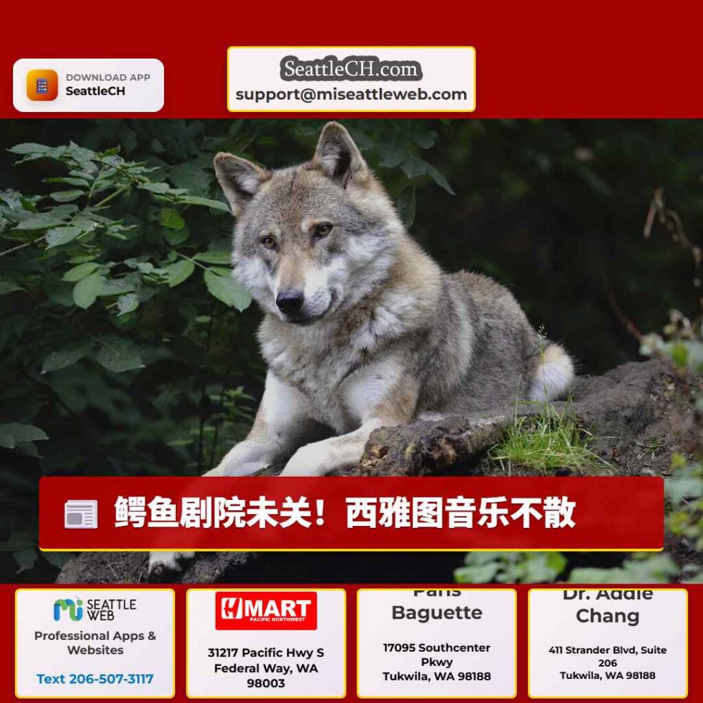 鳄鱼剧院未关!西雅图音乐不散