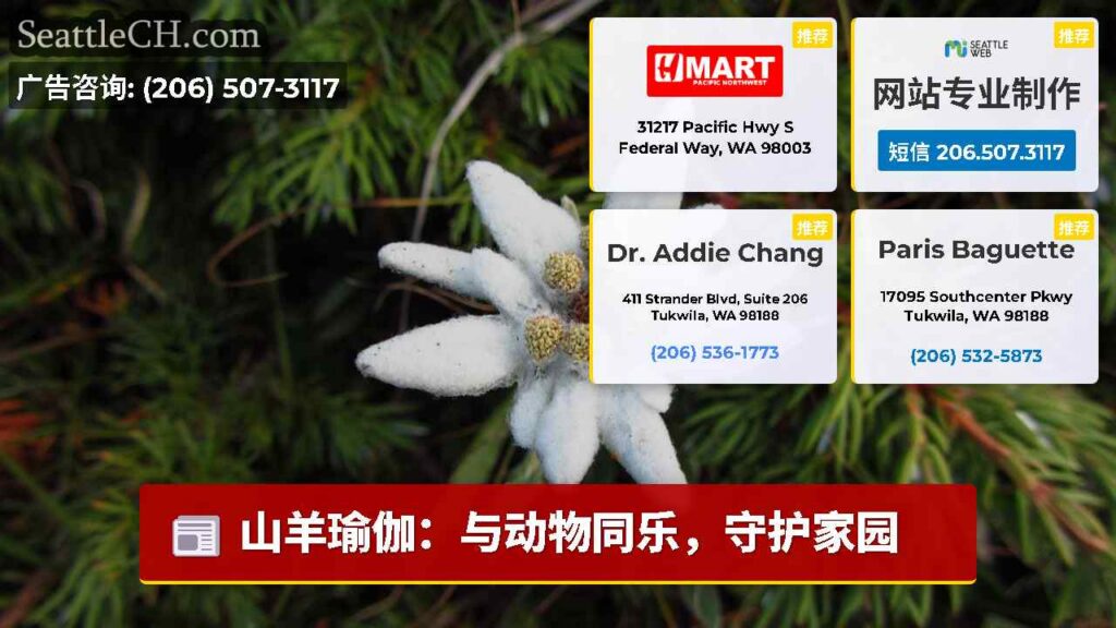 山羊瑜伽：与动物同乐，守护家园