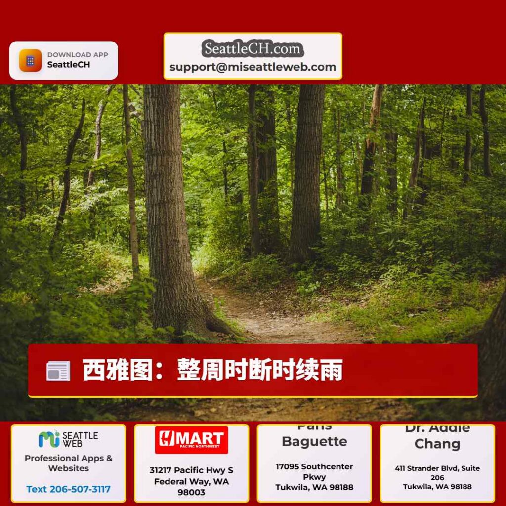 西雅图：整周时断时续雨