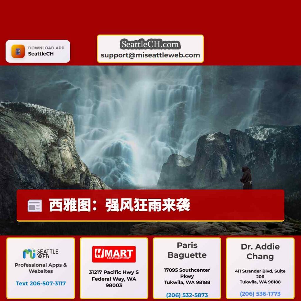 西雅图:强风狂雨来袭