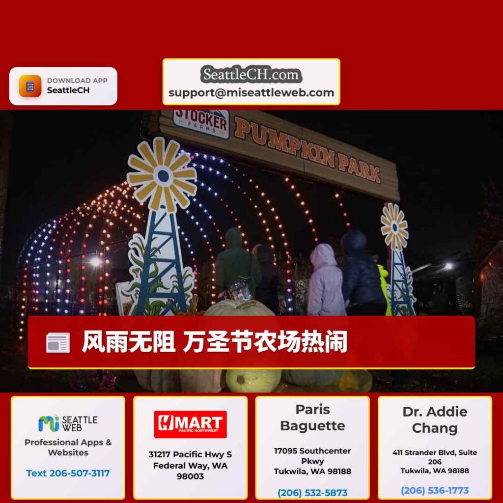 风雨无阻 万圣节农场热闹