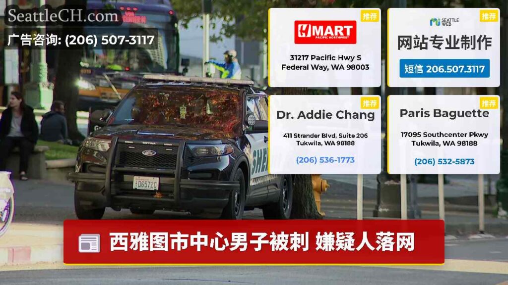 西雅图市中心男子被刺 嫌疑人落网
