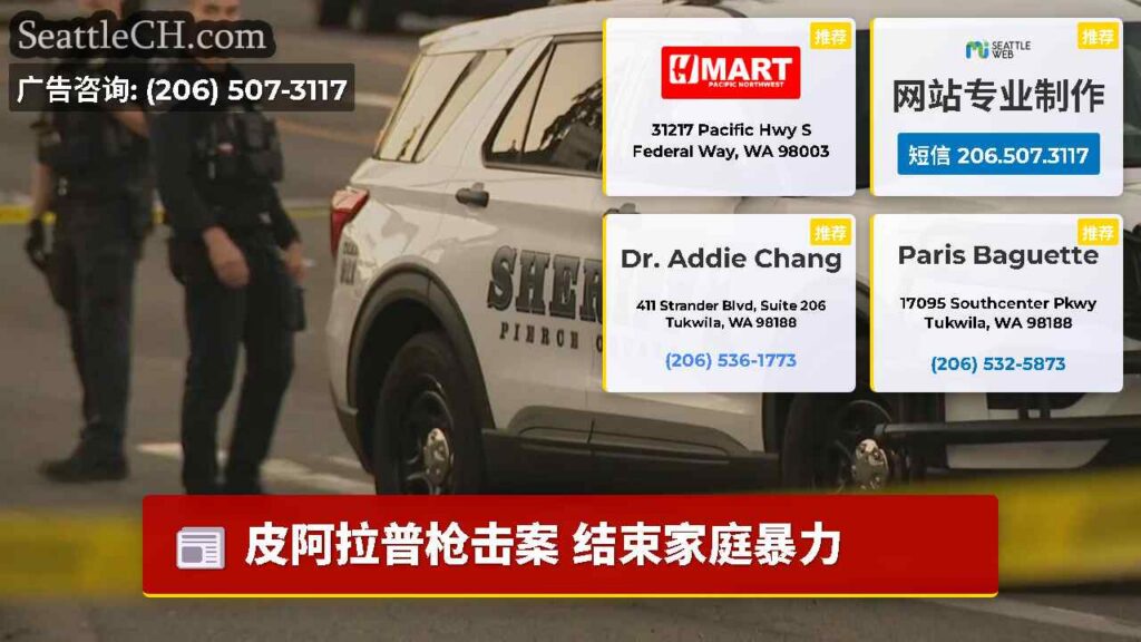 皮阿拉普枪击案 结束家庭暴力