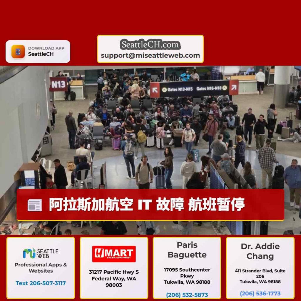 阿拉斯加航空 IT 故障 航班暂停