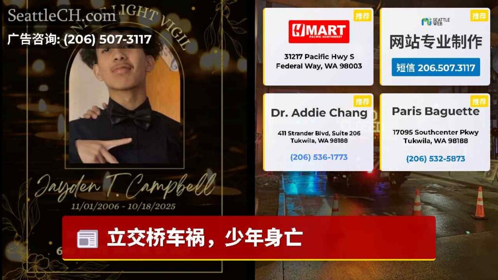 立交桥车祸，少年身亡