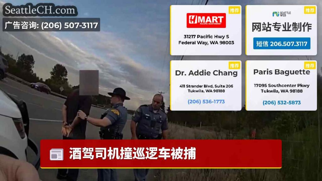酒驾司机撞巡逻车被捕