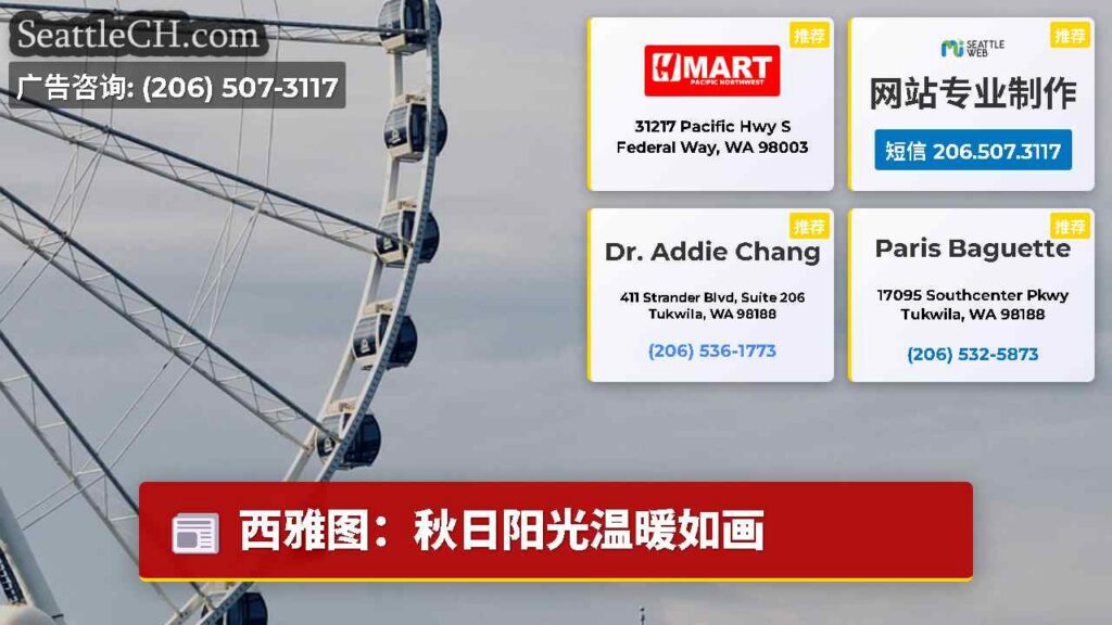 西雅图：秋日阳光温暖如画