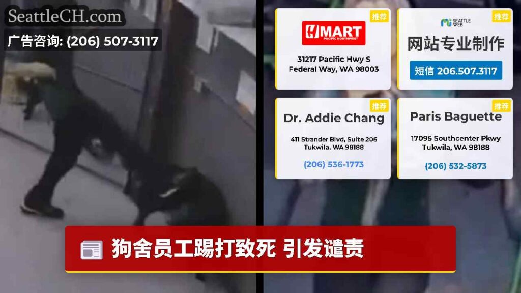 狗舍员工踢打致死 引发谴责