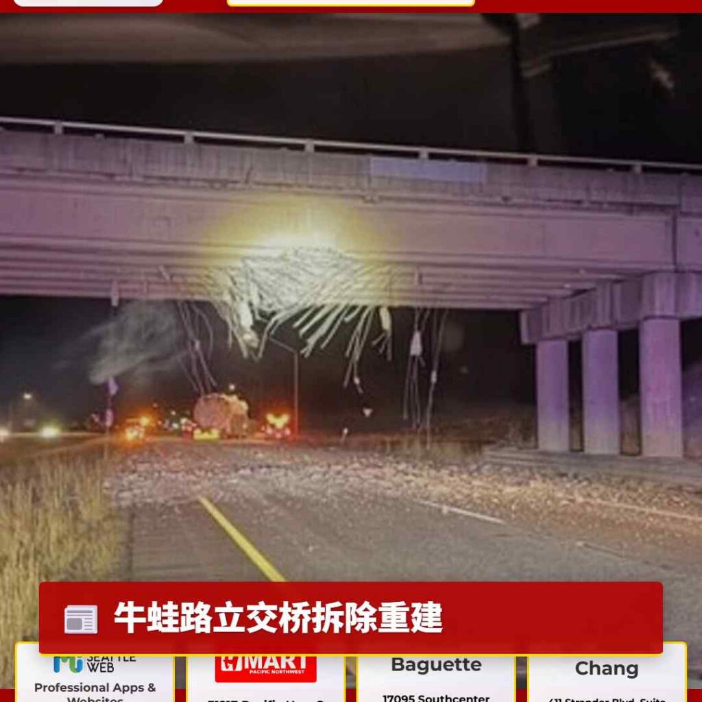 牛蛙路立交桥拆除重建