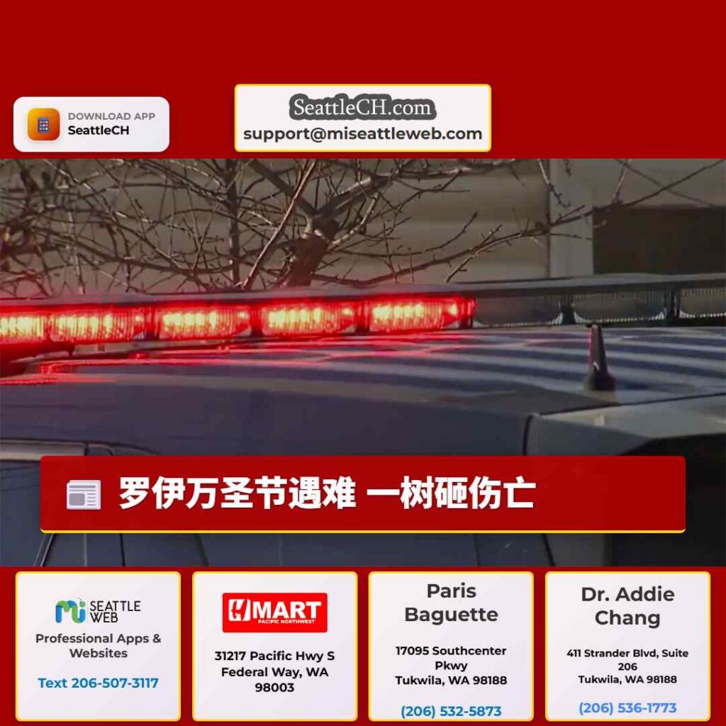 罗伊万圣节遇难 一树砸伤亡