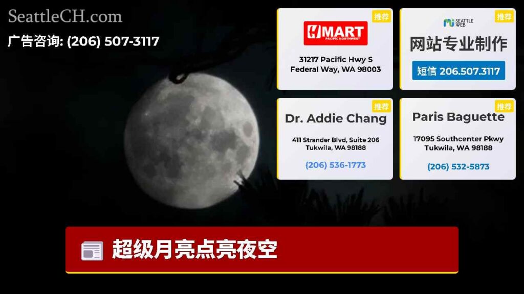 超级月亮点亮夜空