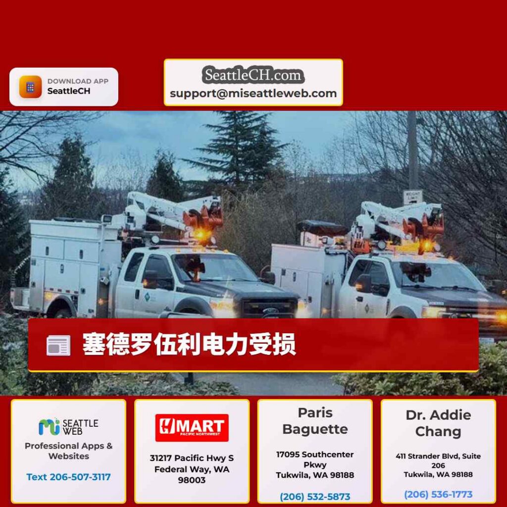 塞德罗伍利电力受损