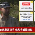 农民部落携手 救助华盛顿鲑鱼