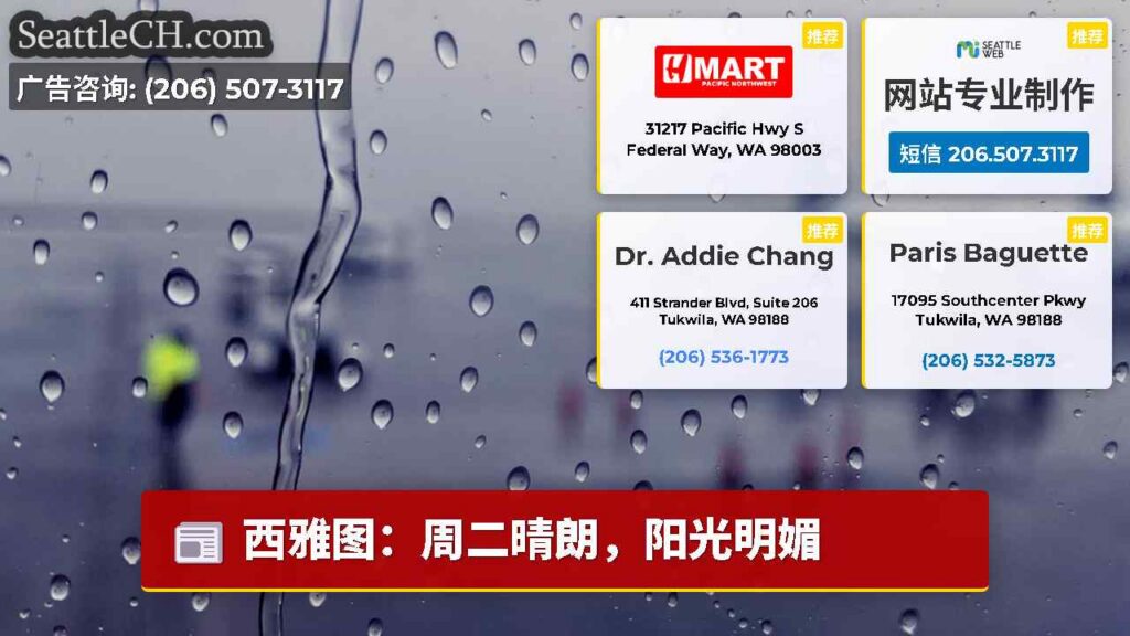 西雅图:周二晴朗,阳光明媚