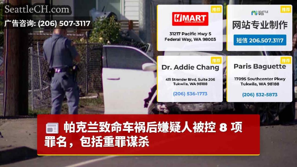 帕克兰致命车祸后嫌疑人被控 8 项罪名，包括重罪谋杀