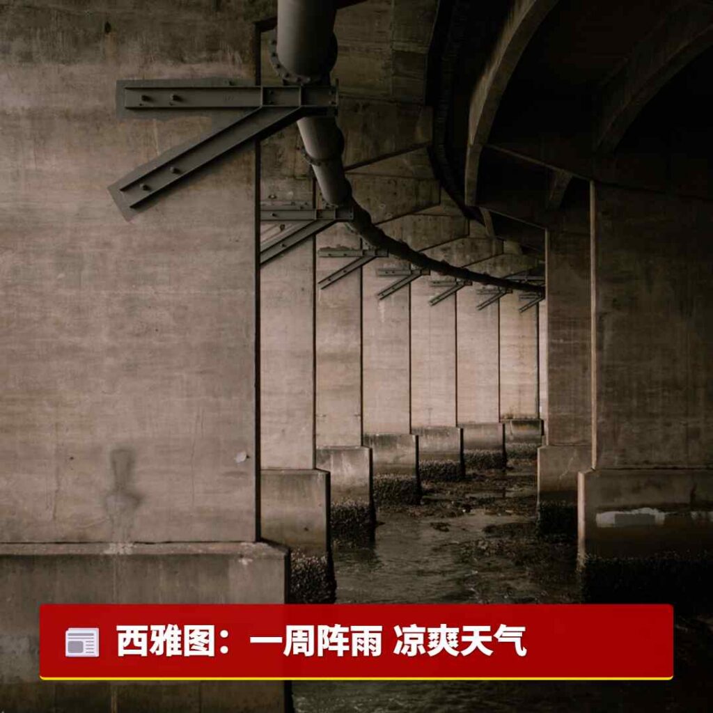 西雅图:一周阵雨 凉爽天气