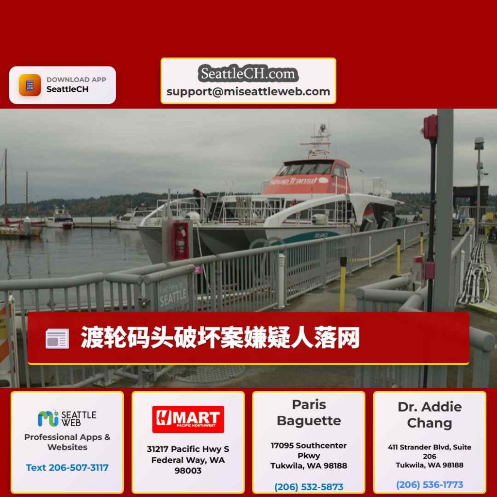 渡轮码头破坏案嫌疑人落网