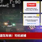 酒驾车祸！司机被捕