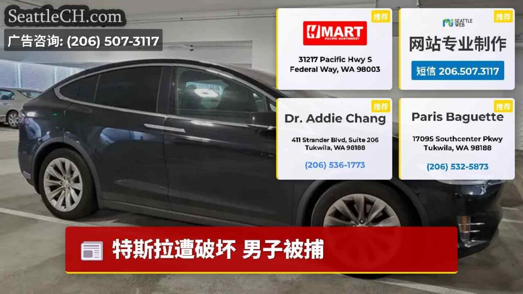 特斯拉遭破坏 男子被捕