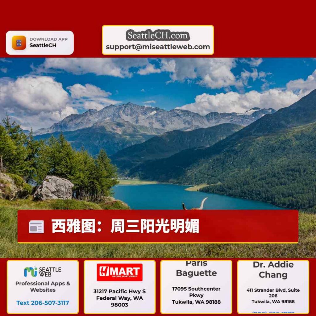 西雅图：周三阳光明媚