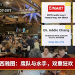 西雅图：鹰队与水手，双重狂欢