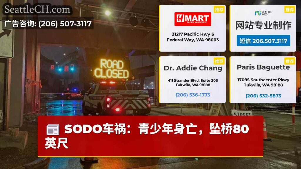 SODO车祸：青少年身亡，坠桥80英尺