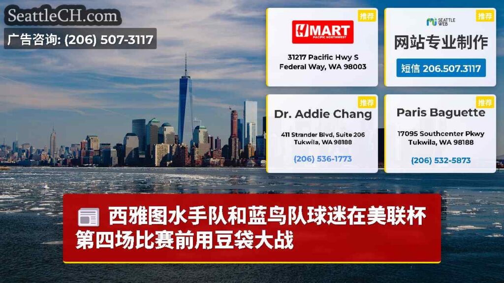 西雅图水手队和蓝鸟队球迷在美联杯第四场比赛前用豆袋大战