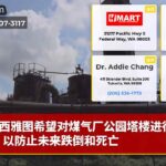 西雅图希望对煤气厂公园塔楼进行改造，以防止未来跌倒和死亡