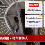 西雅图 – 劫车刺伤人