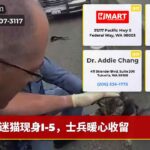 迷猫现身I-5，士兵暖心收留