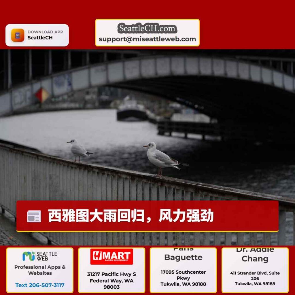 西雅图大雨回归，风力强劲