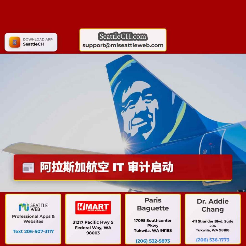 阿拉斯加航空 IT 审计启动