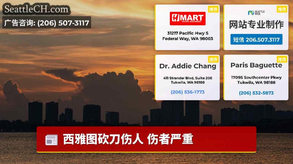 西雅图砍刀伤人 伤者严重