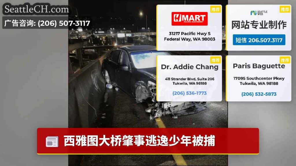 西雅图大桥肇事逃逸少年被捕