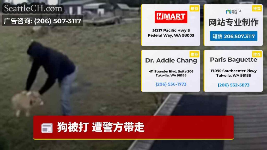 狗被打 遭警方带走