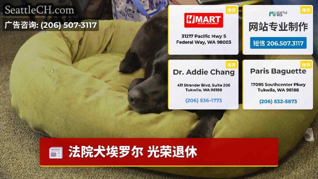 法院犬埃罗尔 光荣退休