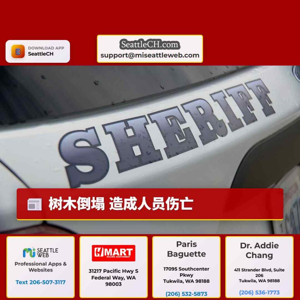 树木倒塌 造成人员伤亡